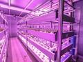 대구농업기술센터 LED 식물공장 썸네일 이미지