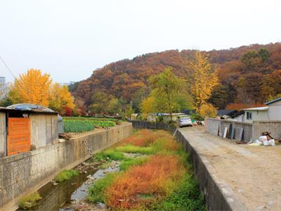 궁내천 썸네일 이미지