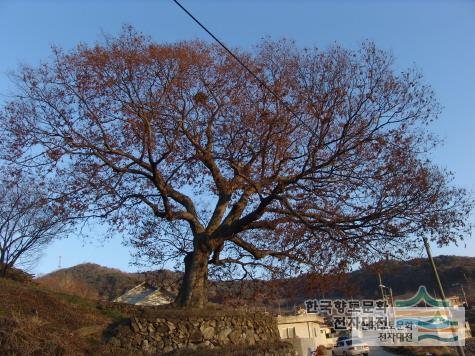 대표시청각 이미지