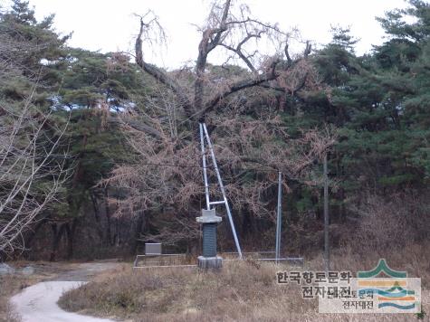 대표시청각 이미지