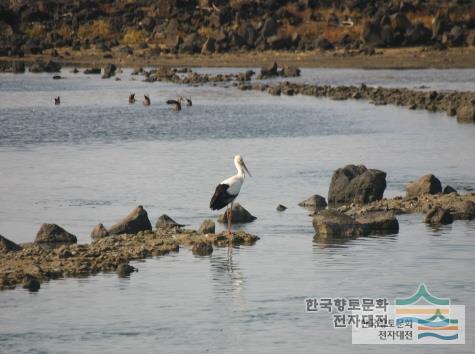 대표시청각 이미지