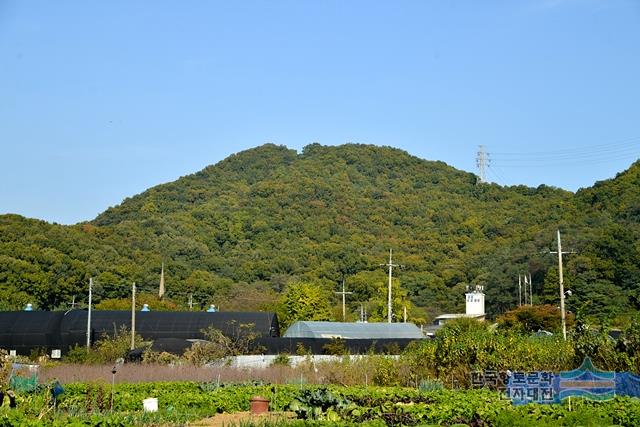 대표시청각 이미지