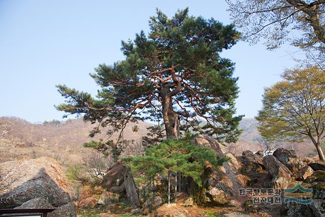 대표시청각 이미지