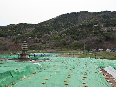 서산 보원사지 오층석탑 썸네일 이미지